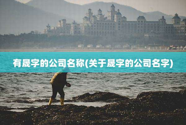 有晟字的公司名称(关于晟字的公司名字)
