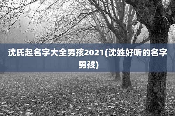 沈氏起名字大全男孩2021(沈姓好听的名字 男孩)
