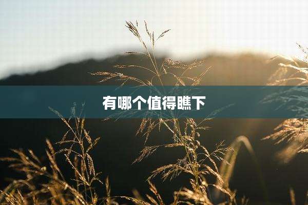 有哪个值得瞧下