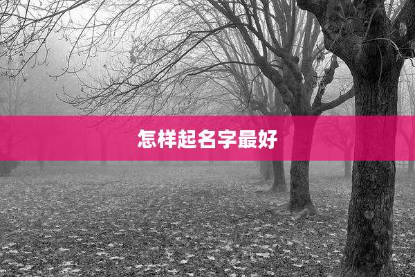 怎样起名字最好