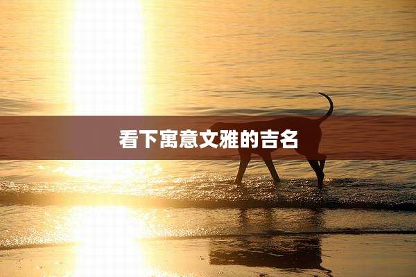 看下寓意文雅的吉名