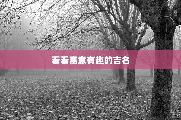 看看寓意有趣的吉名