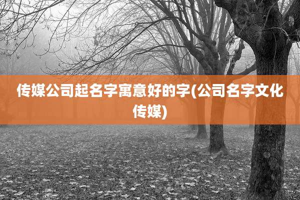 传媒公司起名字寓意好的字(公司名字文化传媒)