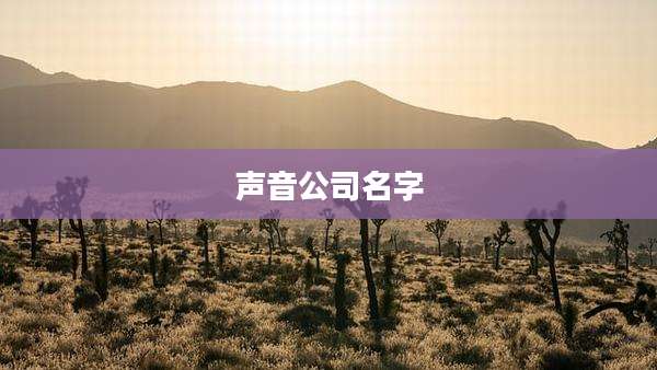 声音公司名字