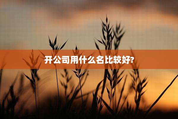 开公司用什么名比较好?