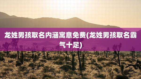 龙姓男孩取名内涵寓意免费(龙姓男孩取名霸气十足)