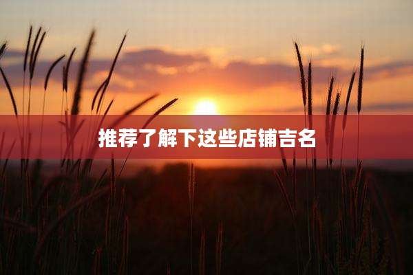 推荐了解下这些店铺吉名