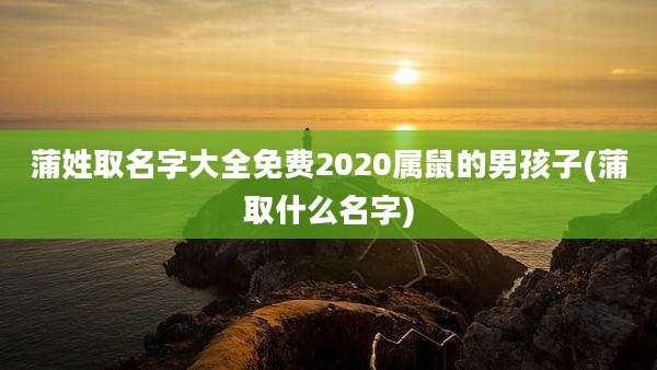 蒲姓取名字大全免费2020属鼠的男孩子(蒲取什么名字)