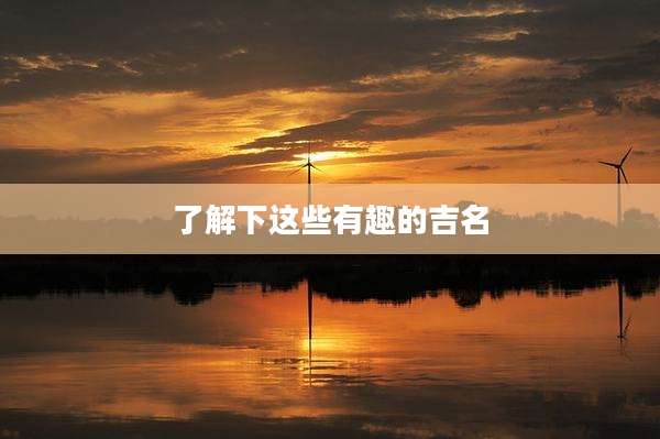 了解下这些有趣的吉名