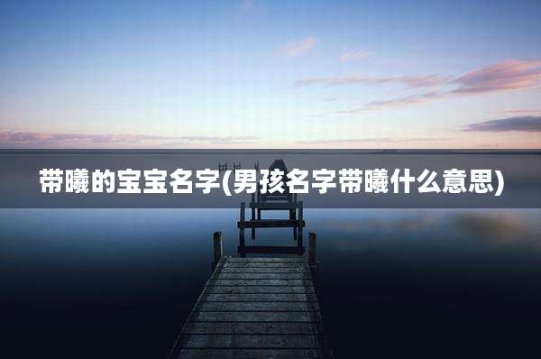 带曦的宝宝名字(男孩名字带曦什么意思)