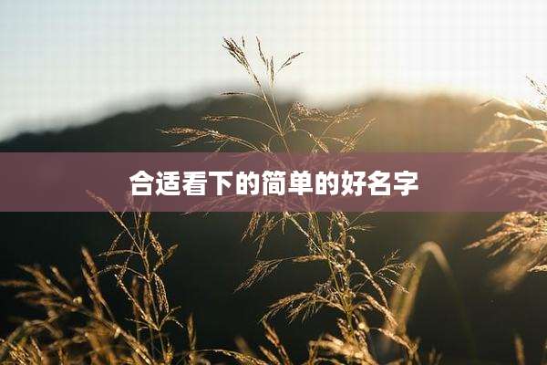 合适看下的简单的好名字