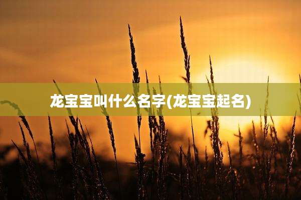 龙宝宝叫什么名字(龙宝宝起名)