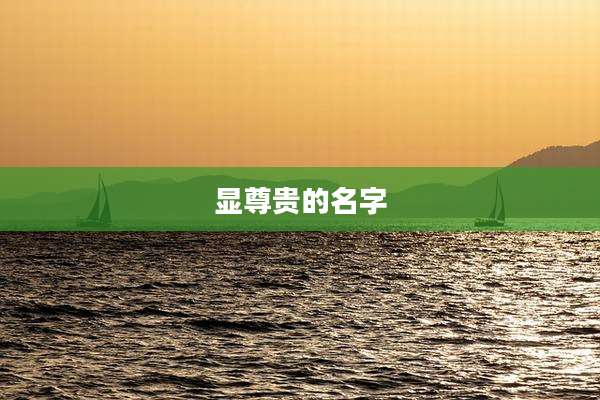 显尊贵的名字