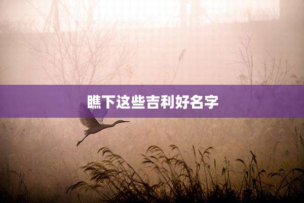瞧下这些吉利好名字