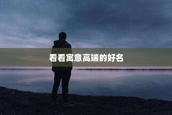 看看寓意高端的好名