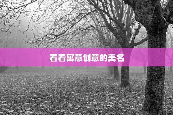 看看寓意创意的美名