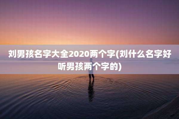 刘男孩名字大全2020两个字(刘什么名字好听男孩两个字的)