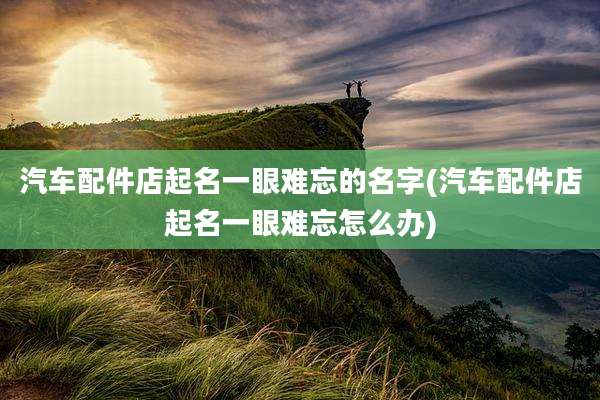 汽车配件店起名一眼难忘的名字(汽车配件店起名一眼难忘怎么办)