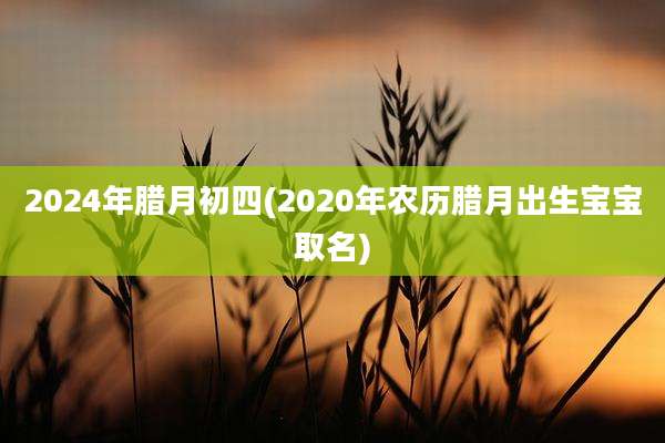 2024年腊月初四(2020年农历腊月出生宝宝取名)