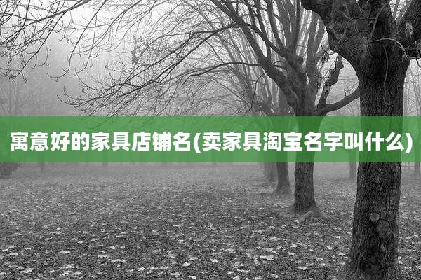 寓意好的家具店铺名(卖家具淘宝名字叫什么)