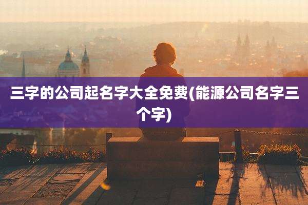 三字的公司起名字大全免费(能源公司名字三个字)