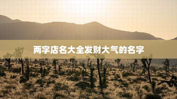 两字店名大全发财大气的名字