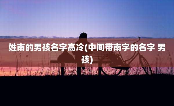 姓南的男孩名字高冷(中间带南字的名字 男孩)