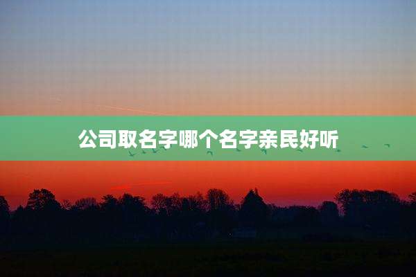 公司取名字哪个名字亲民好听