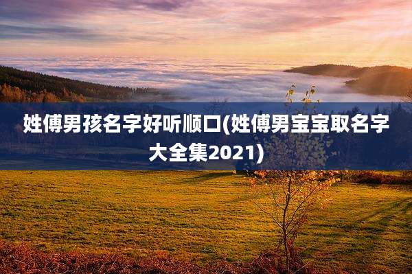 姓傅男孩名字好听顺口(姓傅男宝宝取名字大全集2021)