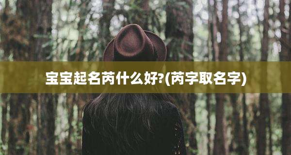 宝宝起名芮什么好?(芮字取名字)