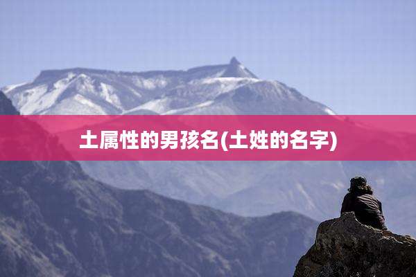 土属性的男孩名(土姓的名字)