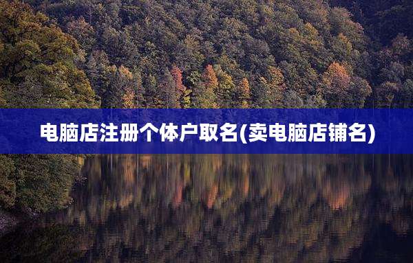 电脑店注册个体户取名(卖电脑店铺名)