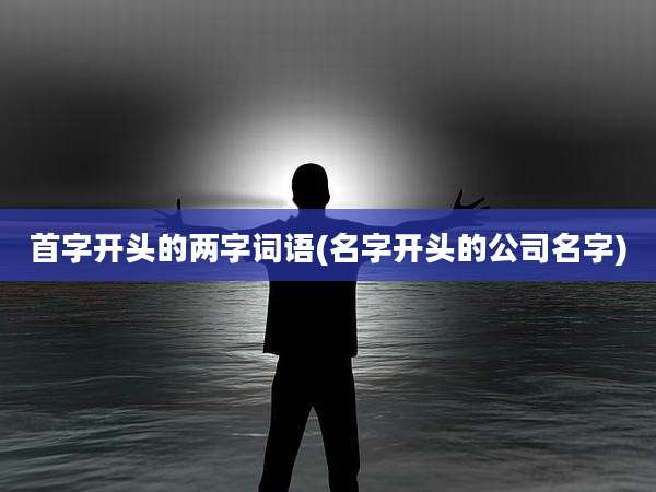 首字开头的两字词语(名字开头的公司名字)