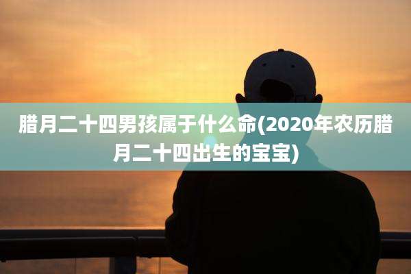 腊月二十四男孩属于什么命(2020年农历腊月二十四出生的宝宝)