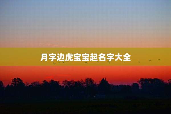 月字边虎宝宝起名字大全