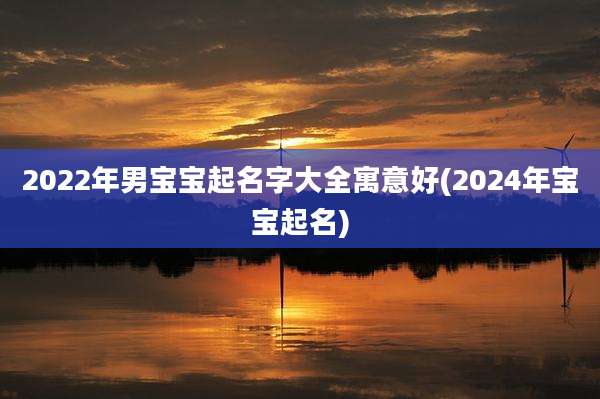 2022年男宝宝起名字大全寓意好(2024年宝宝起名)