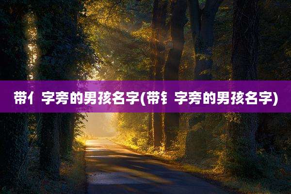 带亻字旁的男孩名字(带钅字旁的男孩名字)