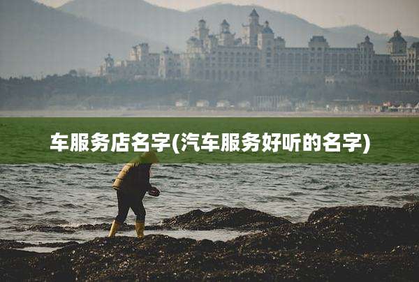 车服务店名字(汽车服务好听的名字)