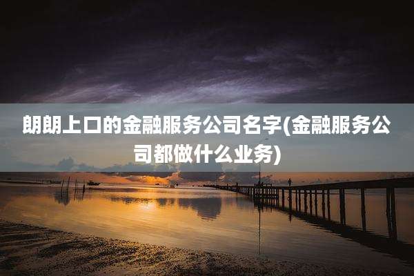 朗朗上口的金融服务公司名字(金融服务公司都做什么业务)