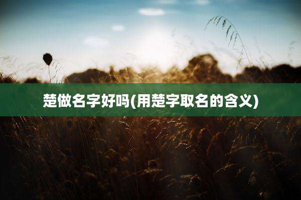 楚做名字好吗(用楚字取名的含义)