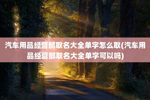 汽车用品经营部取名大全单字怎么取(汽车用品经营部取名大全单字可以吗)