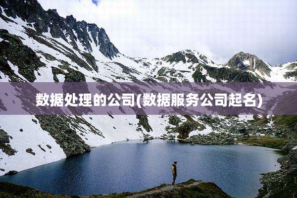 数据处理的公司(数据服务公司起名)