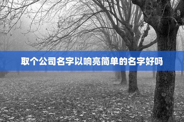取个公司名字以响亮简单的名字好吗