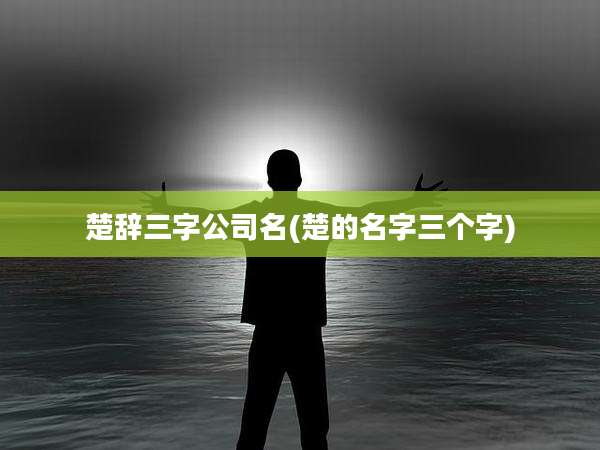 楚辞三字公司名(楚的名字三个字)