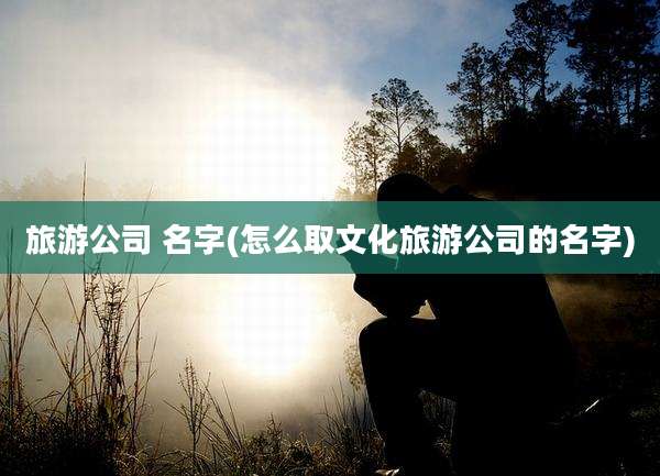旅游公司 名字(怎么取文化旅游公司的名字)