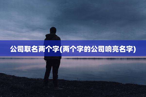 公司取名两个字(两个字的公司响亮名字)