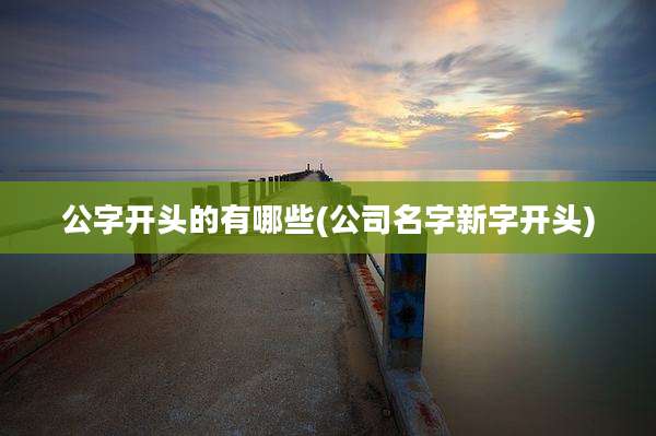 公字开头的有哪些(公司名字新字开头)
