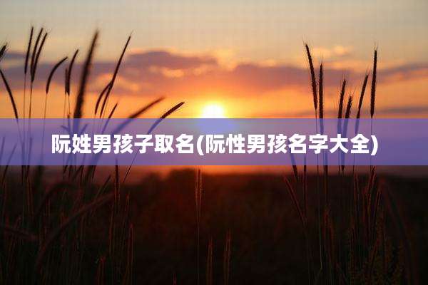 阮姓男孩子取名(阮性男孩名字大全)
