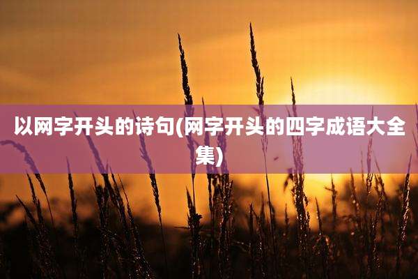 以网字开头的诗句(网字开头的四字成语大全集)