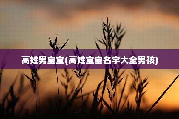 高姓男宝宝(高姓宝宝名字大全男孩)